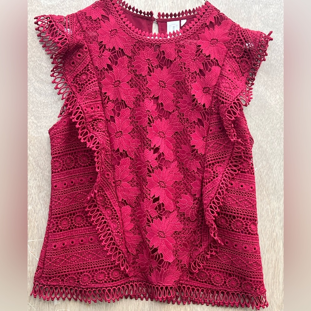 Guest Editor Red Lace Fabric Blouse